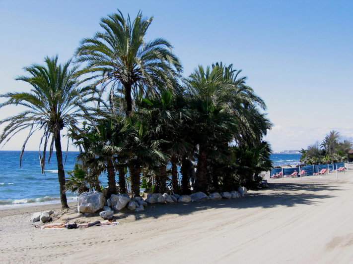 Playa la Venus